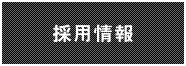 2015採用情報